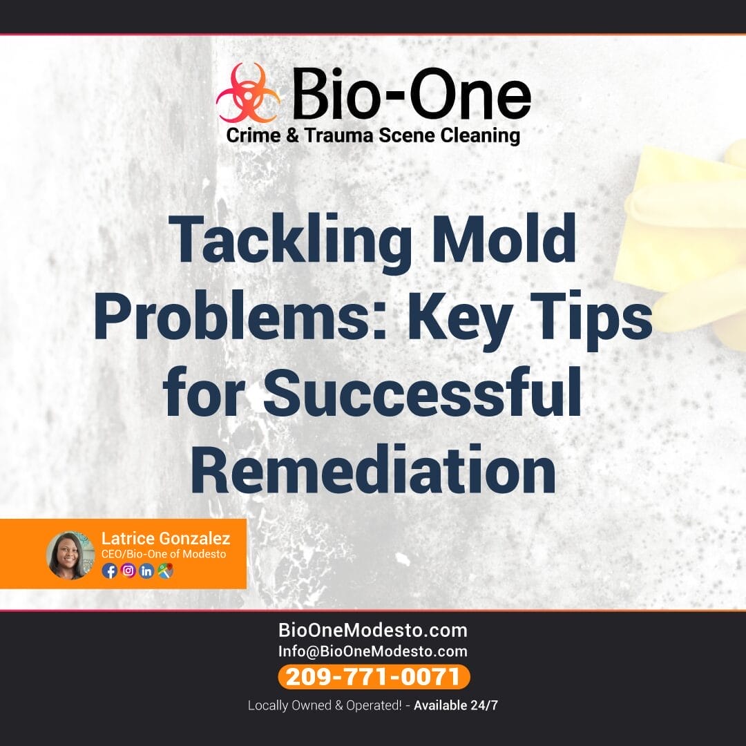 Tackling Mold Problems Key Tips for Successful Remediation