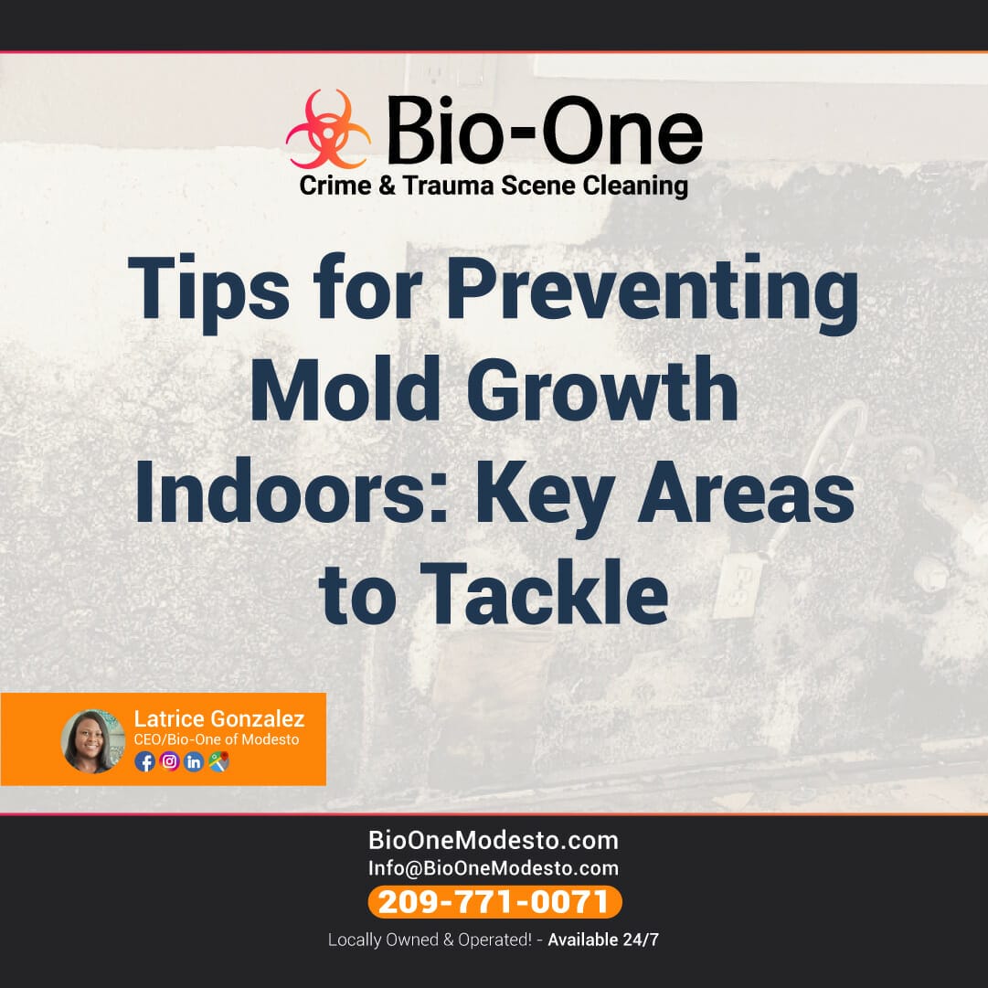 Tips for Preventing Mold Growth Indoors: Key Areas to Tackle