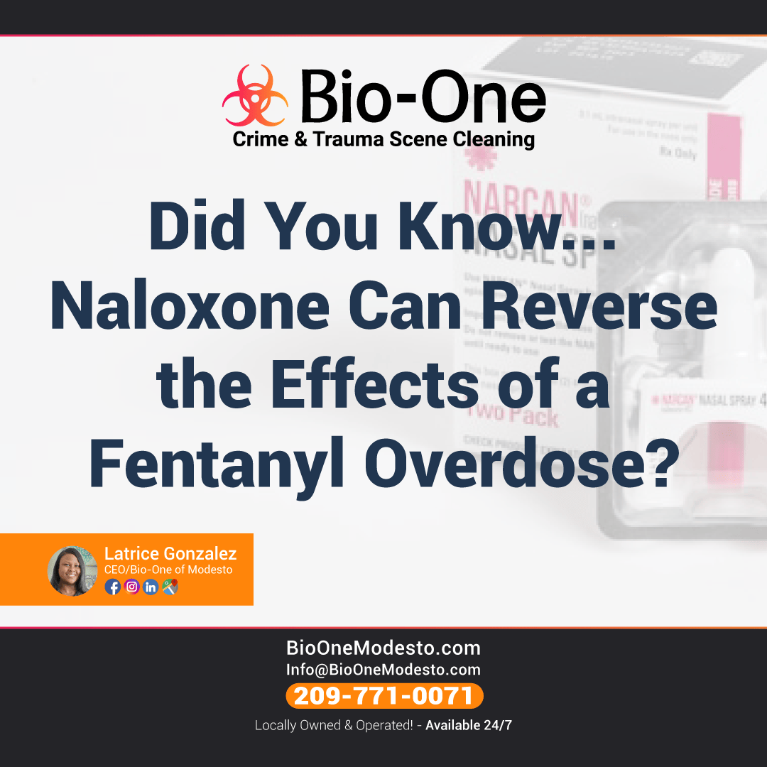 Did You Know... Naloxone Can Reverse the Effects of a Fentanyl Overdose